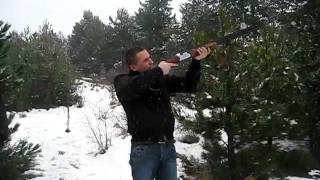 Picture 446.avi