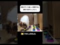 会話ボタンを新しく設置すると速攻で試すシェルティ #shorts