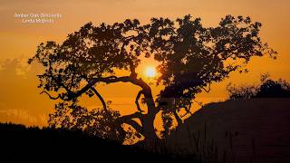 Life Captured - October - November 2026