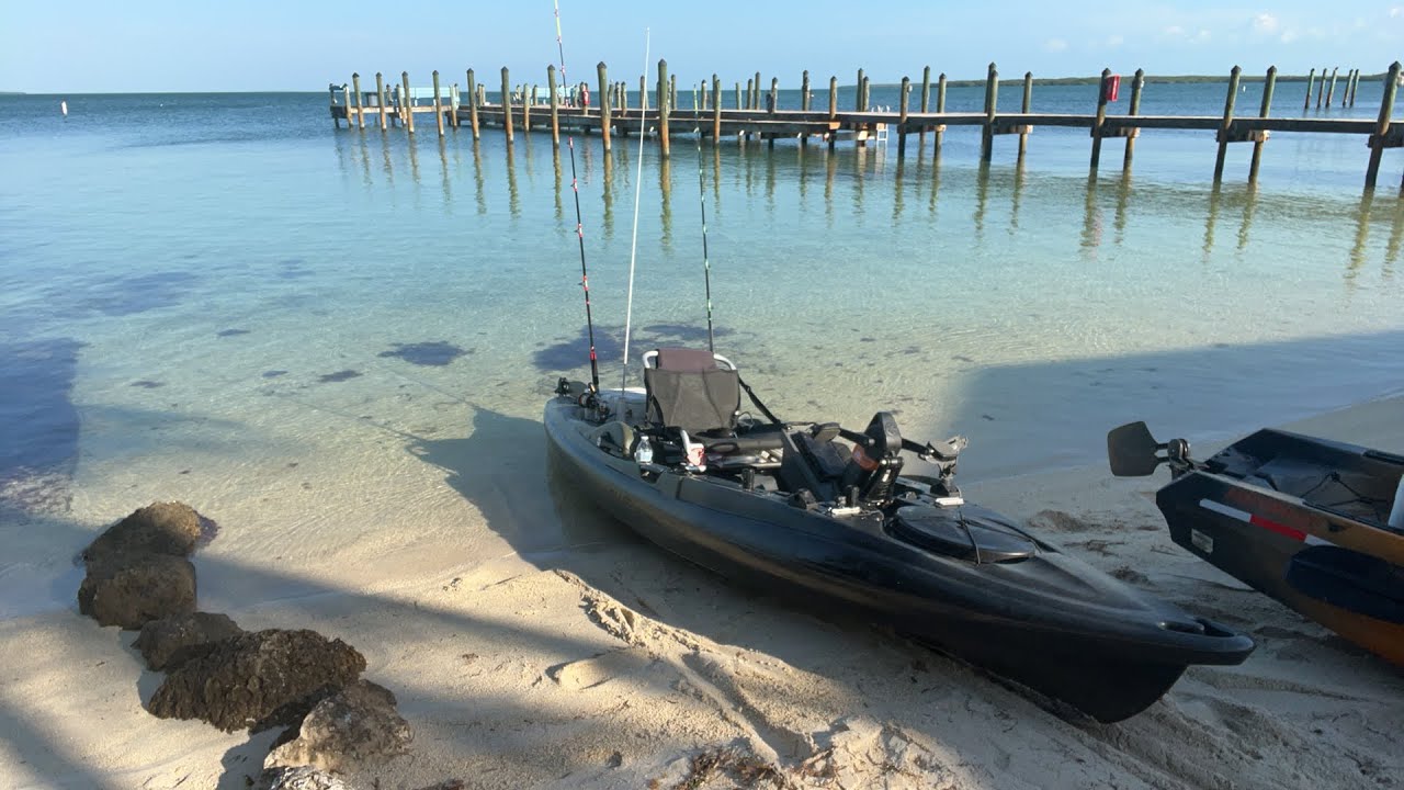 Livestream Kayak Shark Fishing in the Florida Keys YouTube