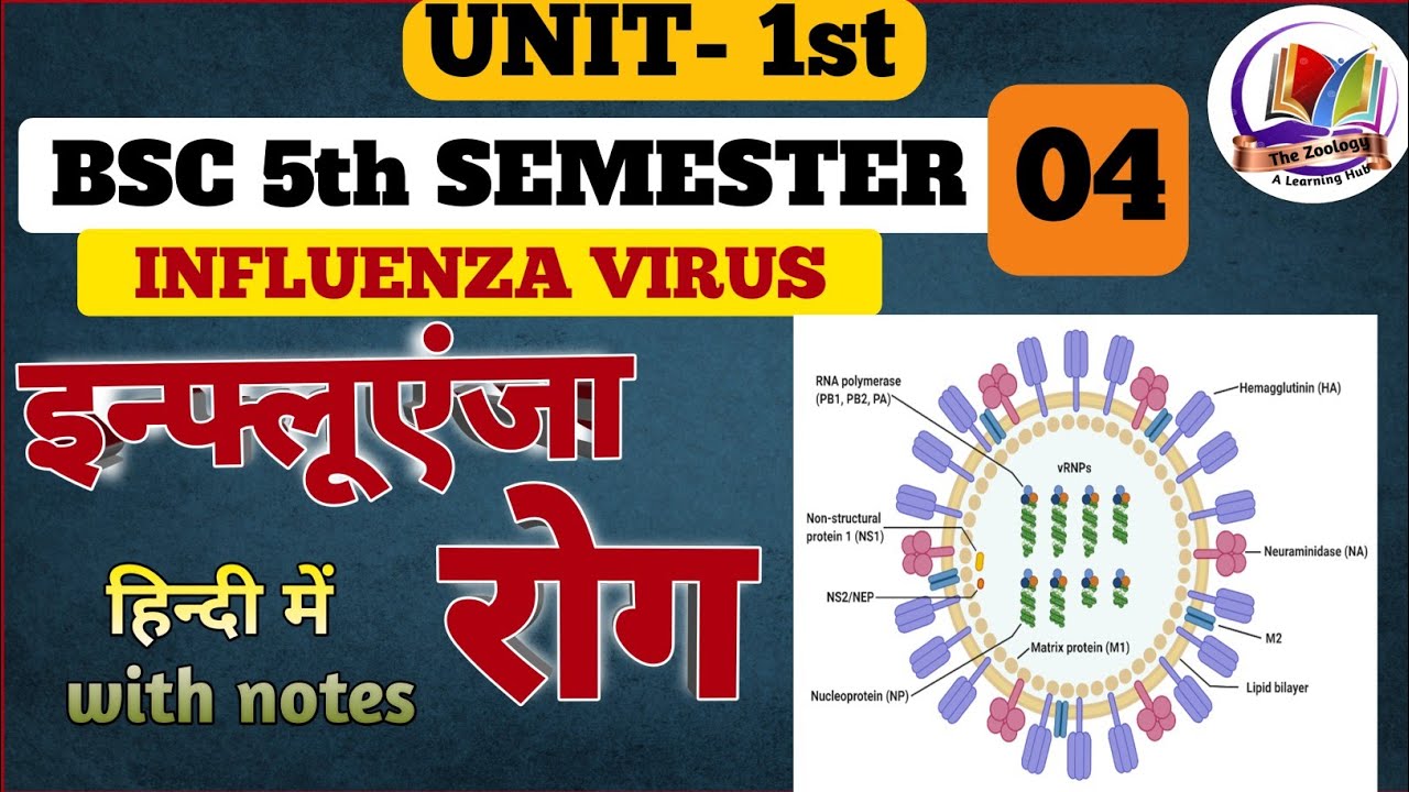 influenza virus microbiology hindi || Influenza virus kya hota Hai || influenza virus in hindi