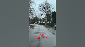 القآرئ عبدالرحمن مسعد ما تيسر من سورة السجدة #تلاوة_خاشعة #قران_كريم#quran_alkarim #راحة_نفسية#quran