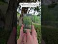 Samsung s25 ultra camera test , #samsunggalaxy #s25ultra