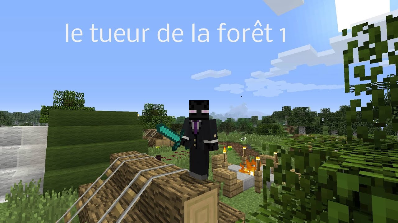Comment Faire Une Bosse Dans La Forêt De Minecraft