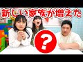【報告】新しい家族が増えました！【Vlog】 - はねまりチャンネル