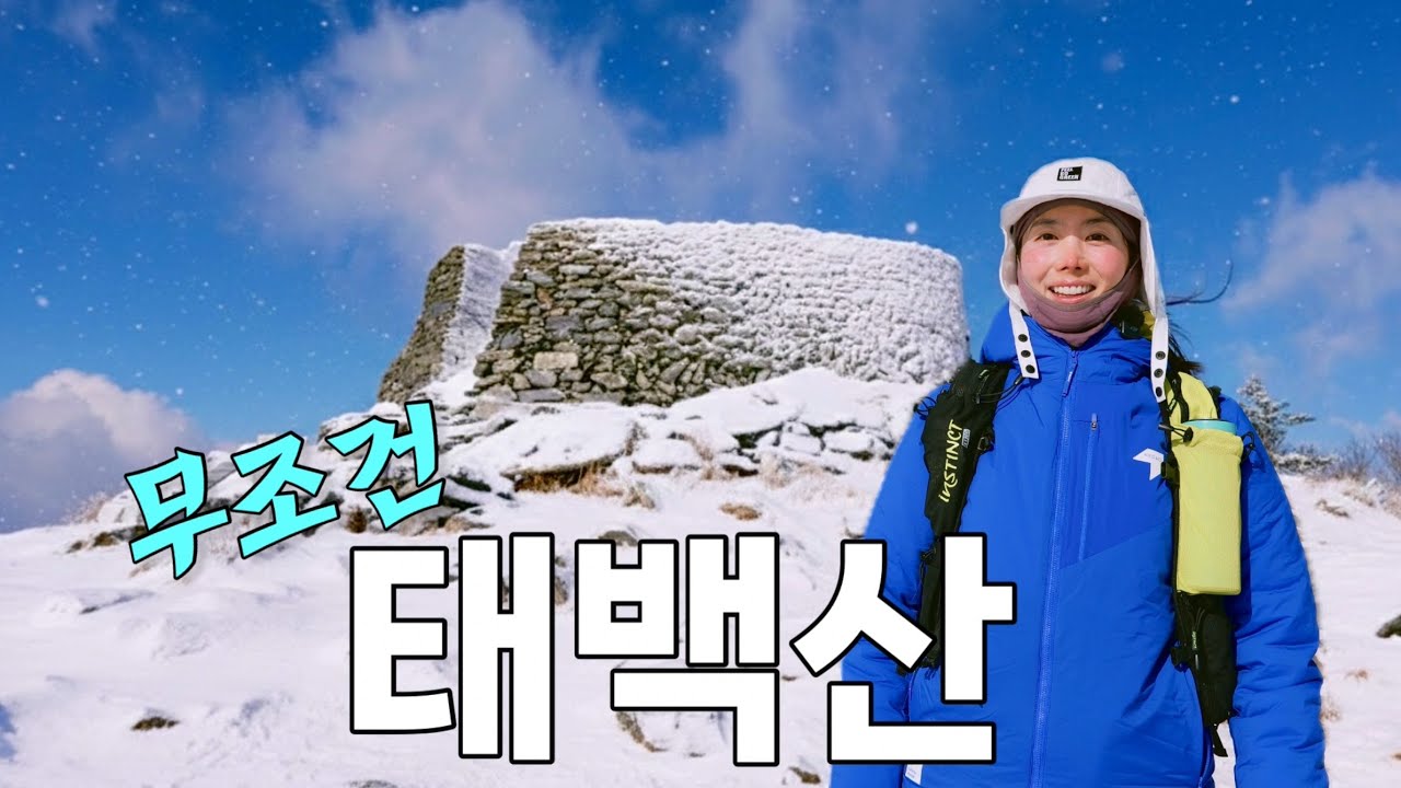 📍겨울 산 하나만 딱 하나만 가야 한다면!? 무조건 태백산 / 사고 이후 3년 만에 다시 선 태백산 정상 🥹