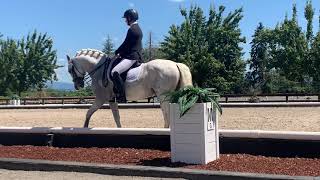 Duggie Third level test 3 66%+ Champagne Magnum 2021 #ridethewrightway www.wwarena.com