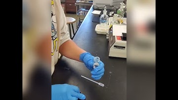 How To Run a Sample in the Shimadzu GCMS-QP2010 Ultra