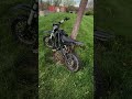 Purple tree looks insane 🌴👾 #surron #ebike #algorithm #viral #fyp