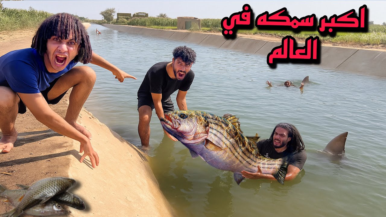 صيد اكبر سمكه من البحر اكثر شخص يطلع سمك يكسب والخسران هيندم😱