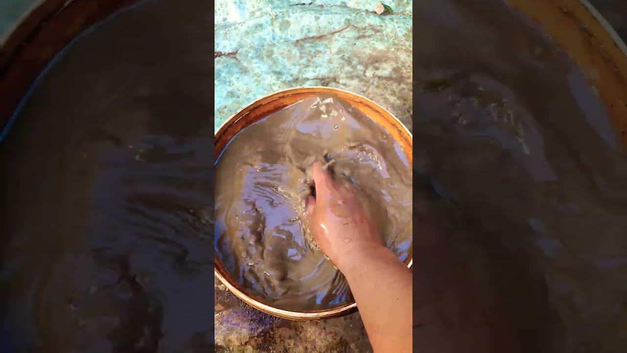 I Didn’t See This Coming #shorts #feedshorts #subscribe