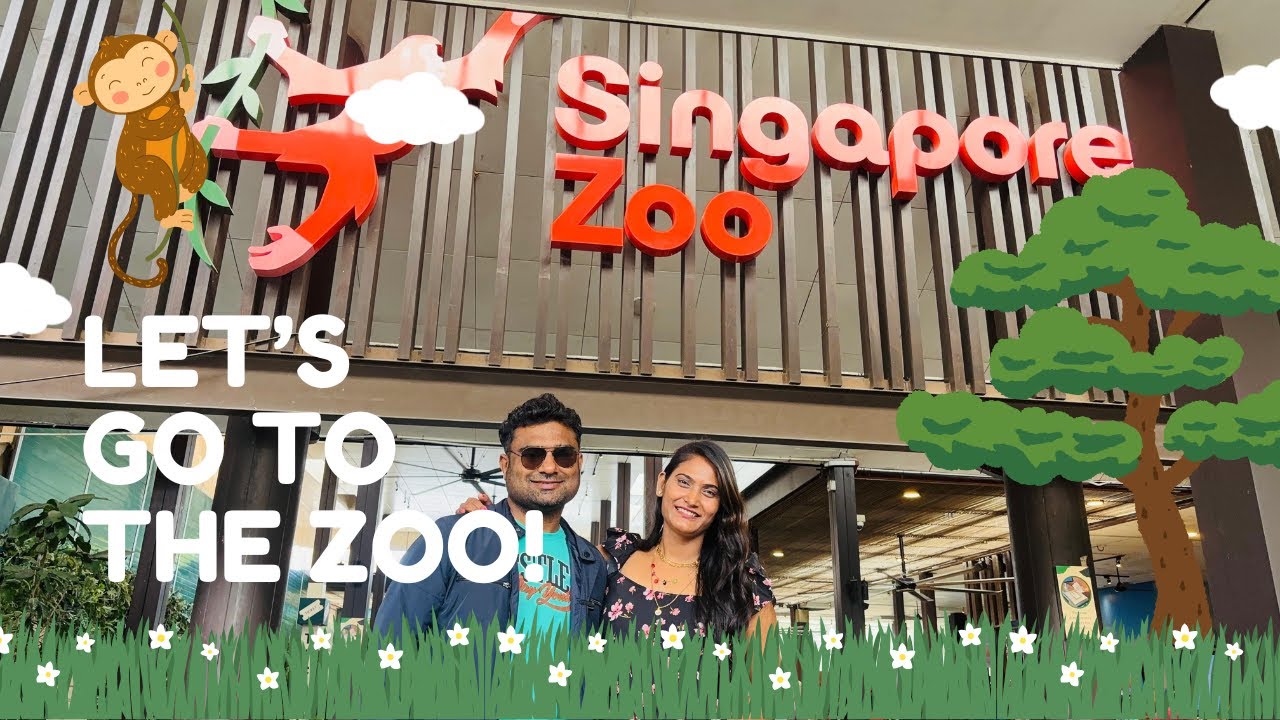 Singapore Zoo Full Tour | Best Day Out With Friends  