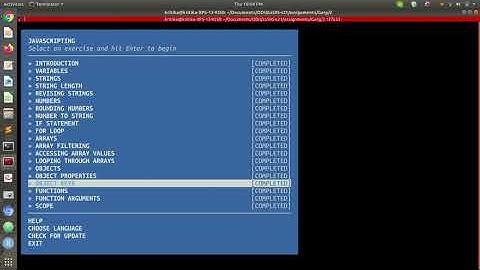 Basics of HTML, JavaScript, and Node using npm workshopper
