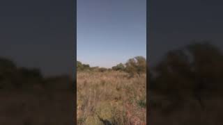 San Lorenzo, Corrientes.