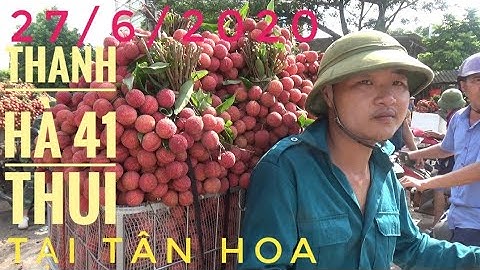 Cập Nhật Giá Vải Thiều Lục Ngạn 27/6/2020 tại Tân Hoa xã (Luc Ngan litchi II