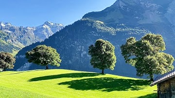 THE FACT OF SWITZERLAND