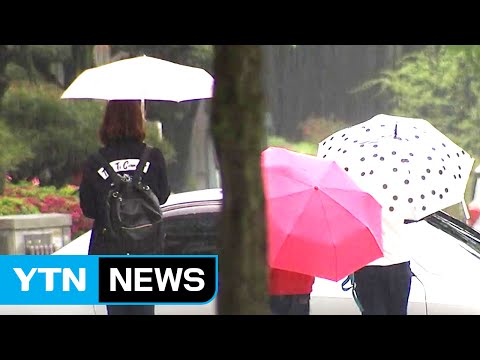 [날씨] 오전까지 미세먼지↑...낮부터 비 내리며 해소 / YTN