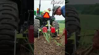 Garlic Harvesting From Farmers