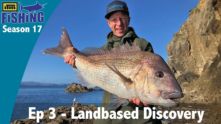 Rock Fishing for Snapper and Kingfish