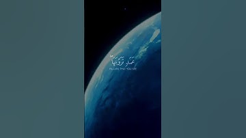 #quran #القرآن_الكريم #ياسر_الدوسري #سورة_لقمان 🤲🌍