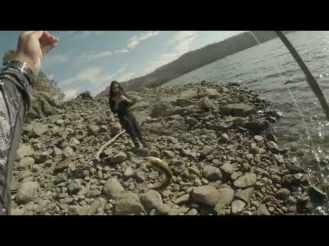 Trout Fishing with Family at Huntington Lake | ITGETSREEL Episode 199