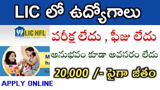 LIC Jobs Recruitment 2021 | LIC HFL Jobs Recruitment 2021 | Latest jobs notifications | Telugu jobs