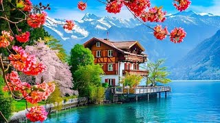 🇨🇭🌸INTERLAKEN in spring, Switzerland relaxing walking tour, 4K HDR- Lake Lucerne(Grindelwald Brienz)