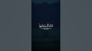 ما تيسر من سورة الحشر 🤍 | القارئ شريف مصطفى | قرآن كريم