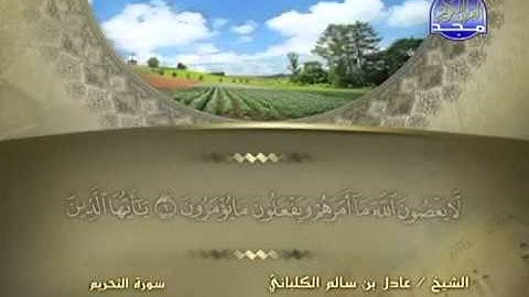 سورة التحريم الشيخ عادل الكلباني