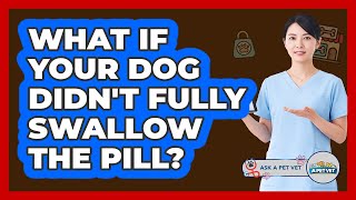 What If Your Dog Didnt Fully Swallow The Pill?