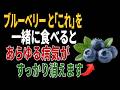 ブルーベリーと一緒に食べれば薬より良い食材3つ!秘伝レシピ2選と相性の悪い食材まで完全解説|高齢者の健康