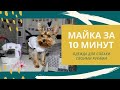 Как быстро пошить майку для собаки из старой футболки (одежда для йорка своими руками)