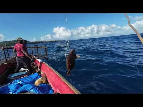 Unbelievable Catch After Pulling 10 Fish Pot Traps