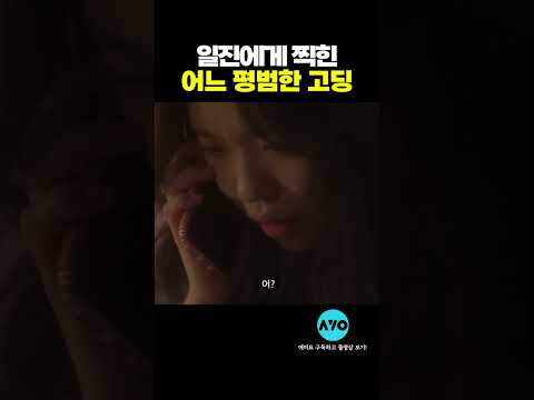 일진에게 찍혔다