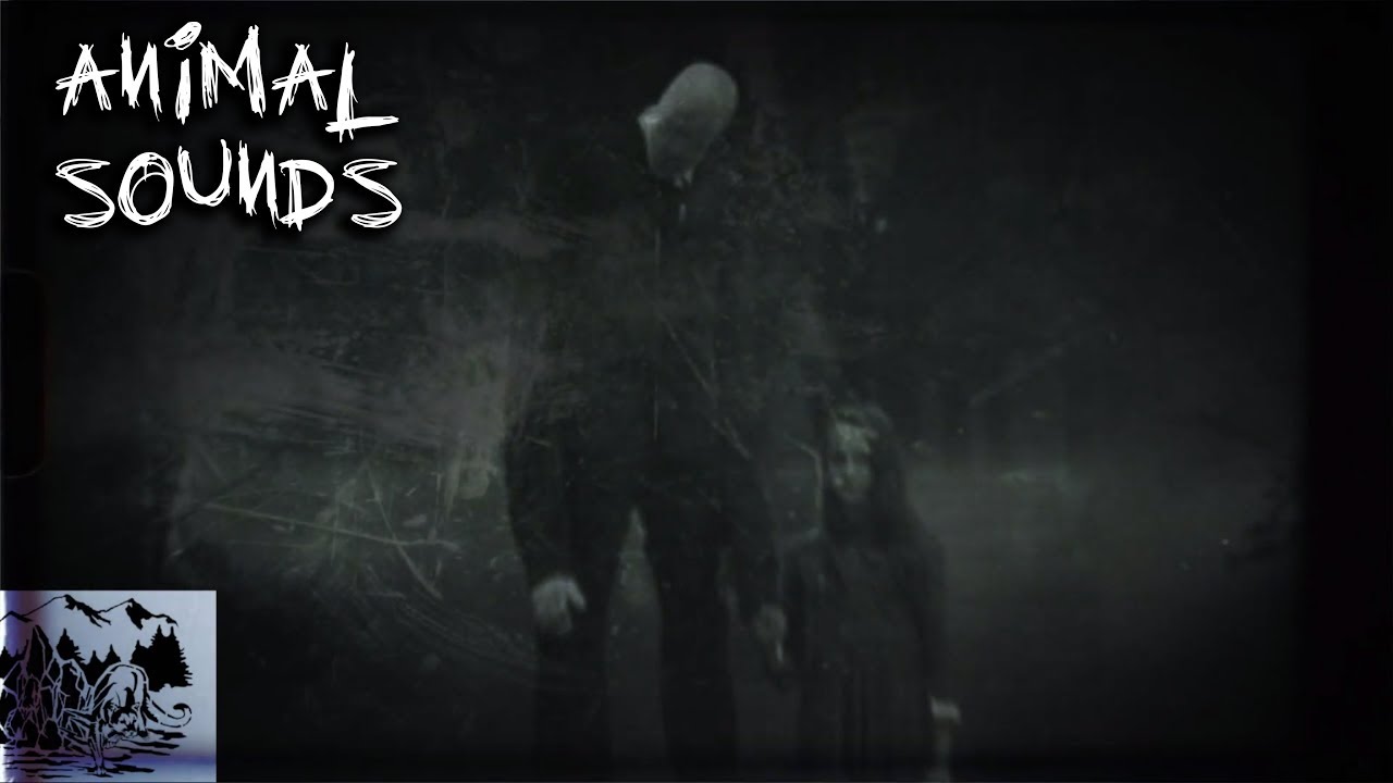 NIGHTMARE Sound Effects [designed with ANIMAL SOUNDS] Royaltyfree