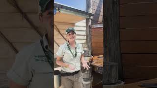 An update on Storm the Australian Sea Lion
Episode 7 of Taronga: Who Whos in the Zoo covered the arrival of Australian Sea Lion - Storm.
Tune in for a special update from Marine Keeper Ang as she spills the details on how Storm is adjusting after the grand move.
Catch up on the last two seasons and follow-up episodes via our Taronga Documentary hub 👉 https://taronga.org.au/get-involved/behind-the-scenes-documentary
#forthewild #tarongawhoswhointhezoo An update on Storm the Australian Sea Lion