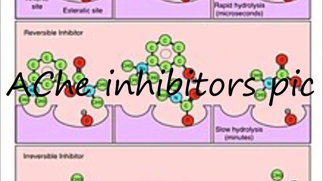 how-to-pronounce-ache-inhibitors-pic-in-english-youtube