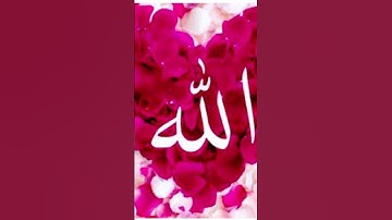 سورة المنافقين
