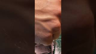 Cleaning Minirae 3000 Pump part 3