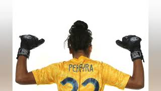 NdW1pse8IvA Video Image