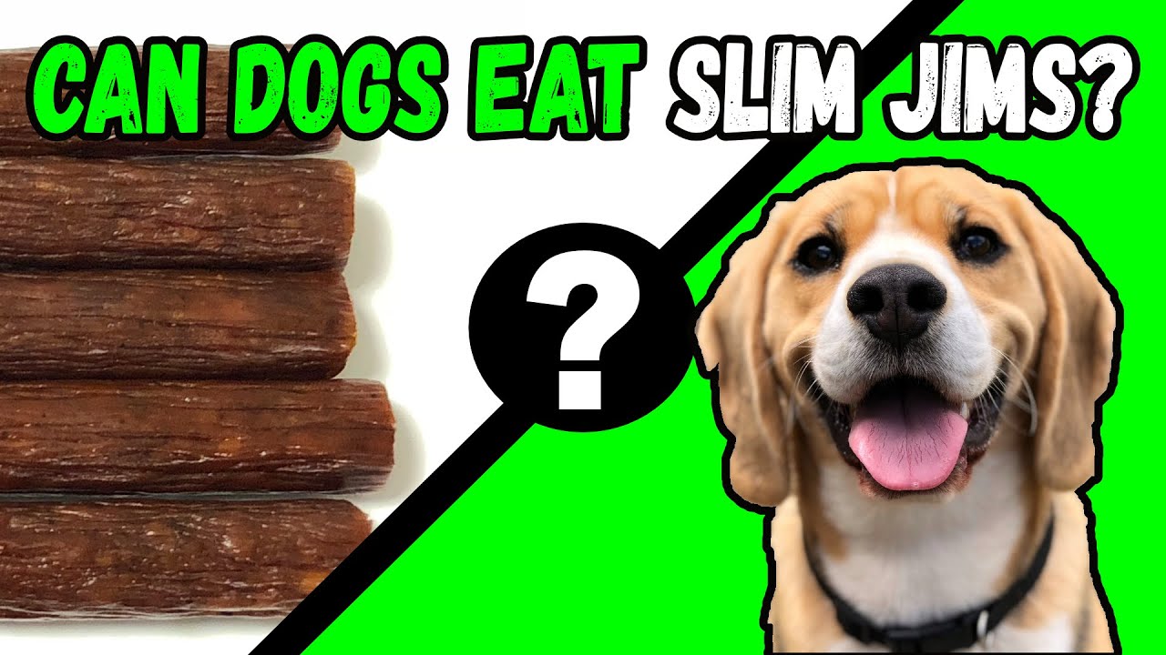 can a australian shepherd eat slim jim