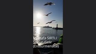 Mustafa Sırtlı-Senin de Sonun Gelir (Enstürmental) Resimi