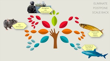 Module 4 | EXPLORING FINANCING & ADJUSTING | CS Step 3 | Online Course