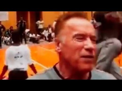 Arnold Schwarzenegger Says 'I'm Not Pressing Charges' After Being Dropkicked by a Fan