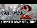 A beginners guide to Guild Wars 2