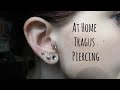 How I Pierced my Tragus at Home | Alyssa Nicole