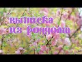 Выписка из роддома