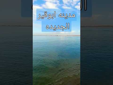 مدينه ابوقير الجديده صباح الخير مشروع إنشاء مدينه ابوقير
