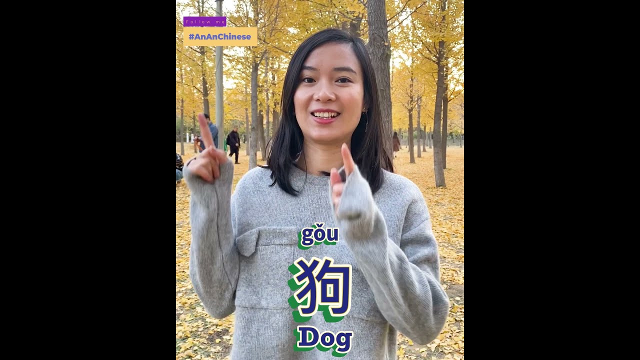 How to say 'Dog' in Chinese | Learn with Ann - YouTube