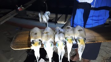 Squid Jig || Umpan Cumi Sudah Banyak Goresan Di G!g!t Cumi || Mancing Cumi Malam Hari @Angler Cumi